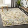 Livabliss New Mexico NWM-2340 Machine Crafted Area Rug NWM2340-679
